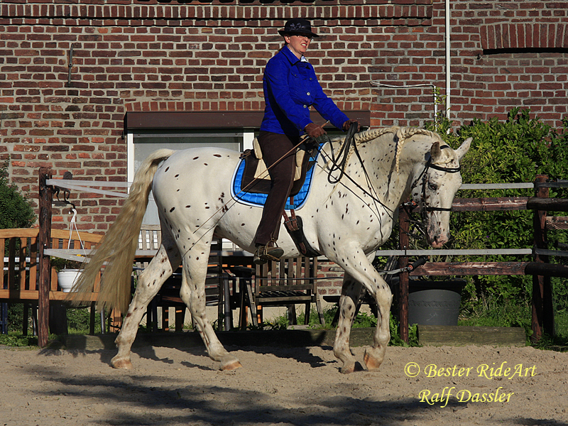 Heike Bester-Dassler mit Lobo auf dem Zirkel im Schritt beim Vorwärts-Abwärts Reiten