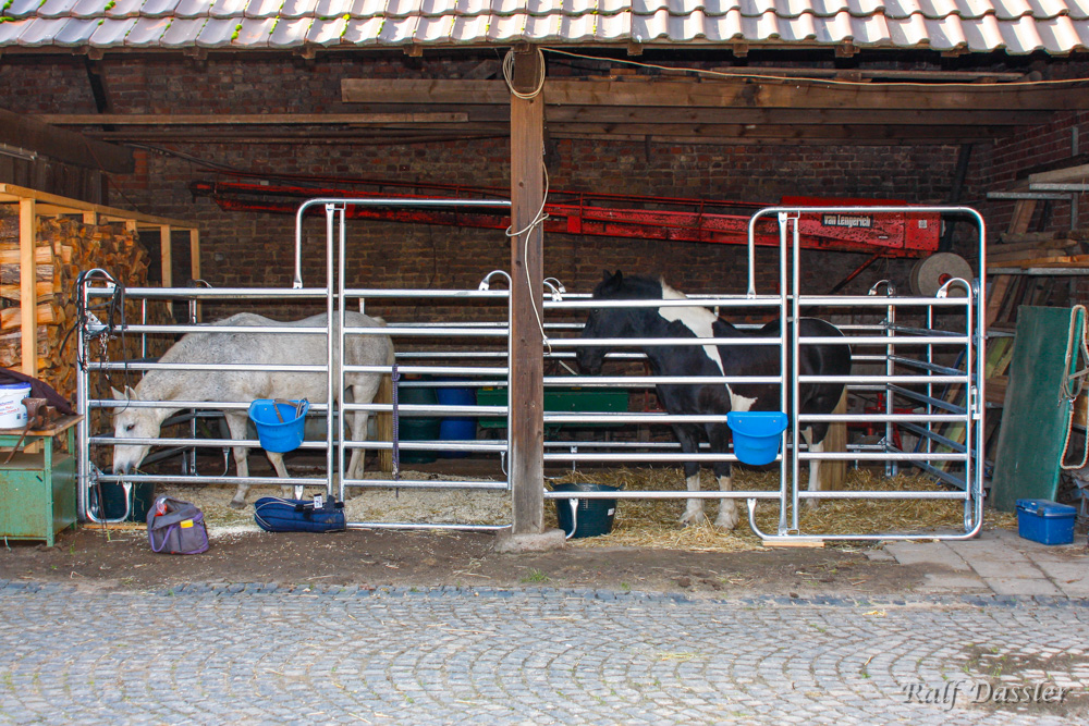 Sabine Oettel Seminar auf dem Besternhof 2014 Organisiert von BesterRideArt